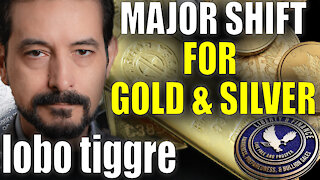 Gold & Silver Correlation "Has Broken Down" | Lobo Tiggre