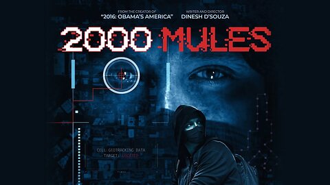 2000 Mules - Dinesh D'Souza (2022)