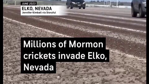 Millions Of Crickets Descend Upon 6 Counties In Nevada