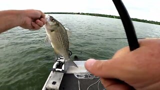 Jigging crappie on structure, Post spawn crappie fishing, catching crappie