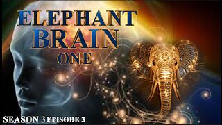 The New Earth Quest ~ The Elephant Brain Philiosophy with Dr. Sam Mugzzi and Digital Tom