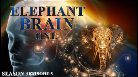 The New Earth Quest ~ The Elephant Brain Philiosophy with Dr. Sam Mugzzi and Digital Tom