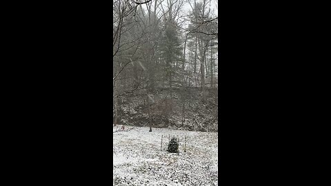 Beautiful Snow Falling on the Homestead