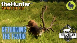 The Hunter: Call of the Wild, Fleischer- Returning the Favor, Hirschfelden (PS5 4K)