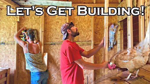 Building our NEW Chicken Coop | Who's Hungry?