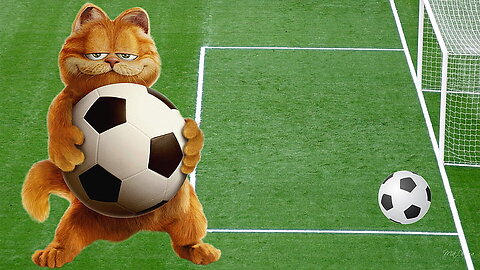 Garfield Plays Soccer, Soccer , Game, Firefox Person,Cat, Cartoon, Dall , Sport, Garfield, Field
