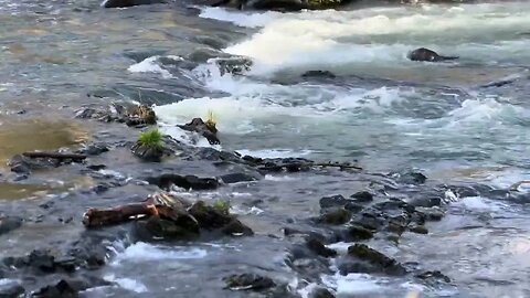 Small Rocky Waterfall Nature Sound to Relax, Meditate, Clear Mind, Focus, and/or Sleep