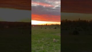 Orange sunset over a Canadian highway