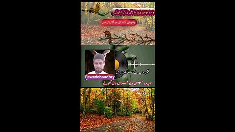 Jaduchman Vach Chaman Autumn Wall Khole Pichi Adhe Ge Marudriani not