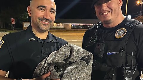 Police officers rescue kitten stuck in storm drain