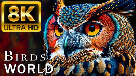 BIRDS WORLD - 8K (60FPS) ULTRA HD - With Nature Sounds (Colorfully Dynamic)