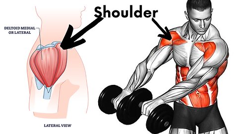 How To Shoulder Workout With Dumbbell For Beginner Shoulder Workout At Gym - Bodypumpupofficical