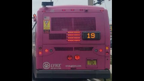 Lynx Transit Orlando : Where The Hell Do They Find These Guys?