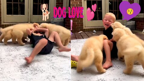 Cute dogs kissing, 😚🐕 little boy | cute dogs playing with little Boy | Caring Dog 2023