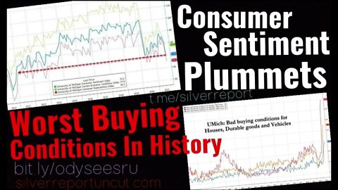 UMich Consumer Sentiment Plummets, Worst Buying Conditions In History For Homes, Cars, & Appliances