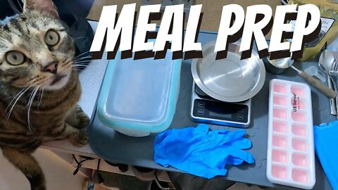 How to properly meal prep raw cat food