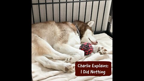 Charlie Explains: I Did Nothing