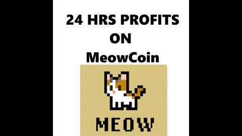 24 Hour MeowCoin Mining - Profit?