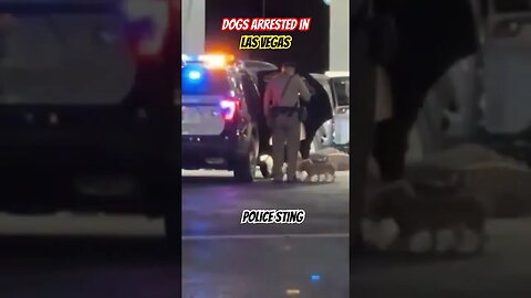 Las Vegas Puppies and Police