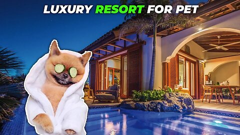 The Most Luxurious Animal Resorts in the World