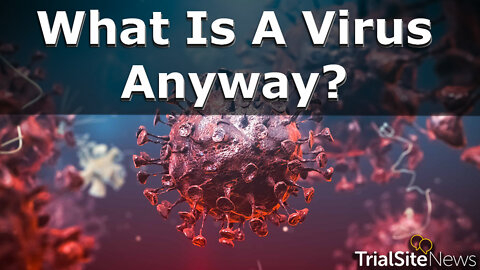 Geert Interview Series | Part 6: What Is A Virus Anyway? Dr. Geert Explains