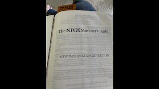 The NIV bible reading: Numbers 22:1-41 and 1 Corinthians 5:1-13