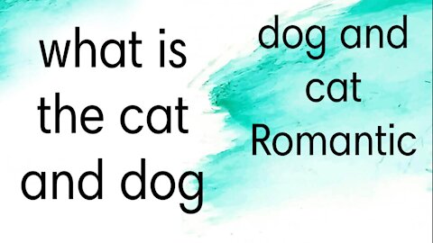 Dog and cat Romantic