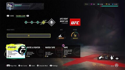 EA SPORTS UFC 4 ultimate