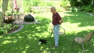 Cupola Kitty helps other feral cats around Wisconsin