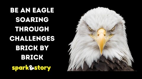 Be an Eagle Soaring Through Challenges Brick by Brick
