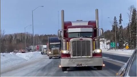 Canadian Trucker Convoy Protests Vaccine Mandates #FreedomConvoy