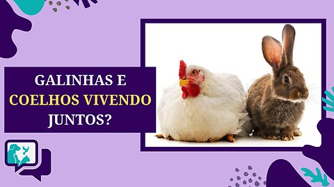 Coelhos e Galinhas Vivendo Juntos - Possível ou Problema?