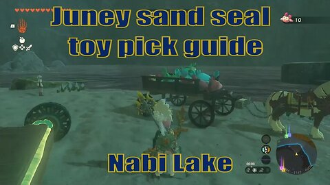 Juney sand seal toy pick up game guide - Nabi Lake | Zelda TOTK