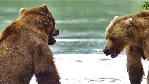 Kamchatka, life begins, respect for nature 21