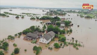 Disaster Prep for Pets | Morning Blend