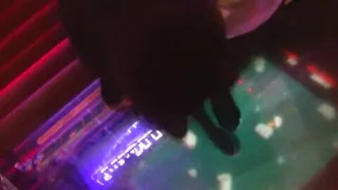 this is the last time we will be petting luna (bar cat)