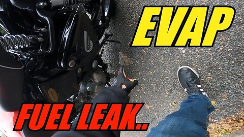 Fuel leaking out of the EVAP on the Royal Enfield Bullet 500.