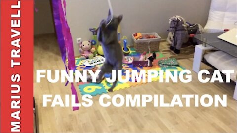 Funny Jumping Cat Fails Compilation-TRY NOT TO LAUGH OR GRIN