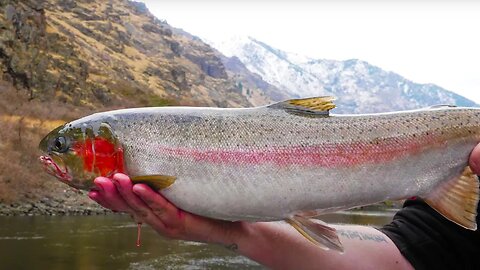 EPIC Steelhead & TROUT Fishing The DEEPEST CANYON In North AMERICA!
