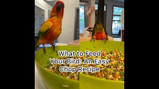 Here's a common recipe that I feed my birds!