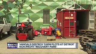 Vandals destroy farm plots at Detroit nonprofit "Recovery Park"