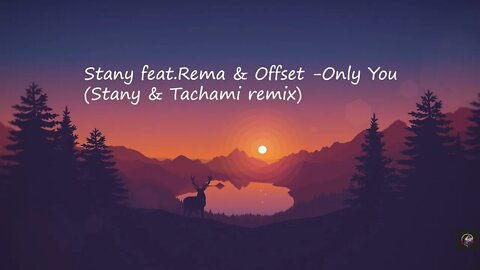 STANY - Only You ft. Rema, Offset(Stany& Tachami remix)