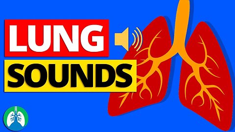 Lung Sounds (Abnormal Breath Sounds and Auscultation) | Respiratory Therapy Zone