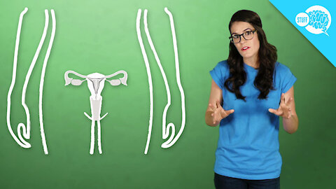 How Do IUDs Work?