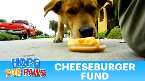 Cheeseburger Fund - Please Share. Thanks :-)