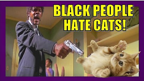 BLACK PEOPLE HATE CATS!