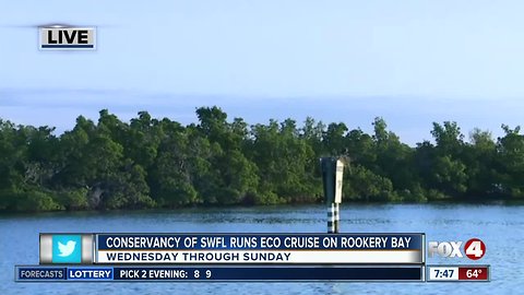 Conservancy of Southwest Florida runs eco-cruises out of Rookery Bay - 7:30am live report