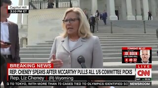 RINO Cheney Agress With Pelosi Removing 2 Republicans From Jan 6 Committee
