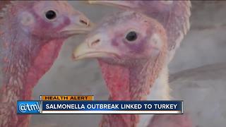 Salmonella outbreak linked to turkey