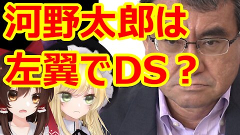 Chat in Japanese #377 2021-Jun-16 "Is Minister Taro Kono a leftist?"